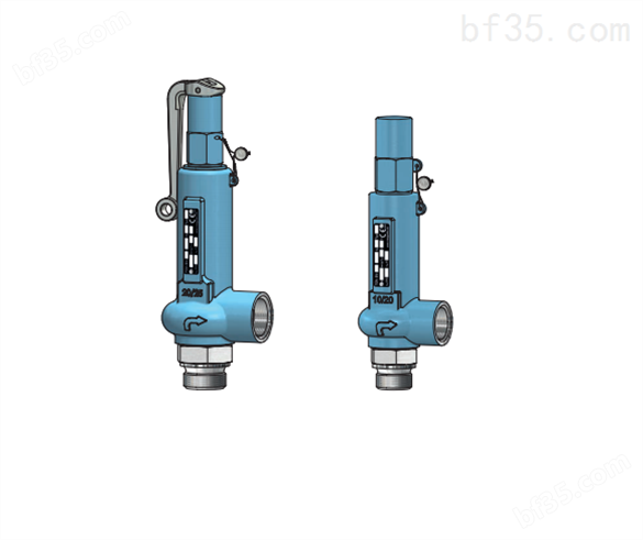Niezgodka safety valve 31型
