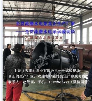 江苏连云港带保护装置的全贯流潜水电泵