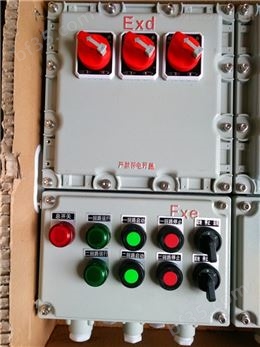 BXD51-T2K防爆动力配电箱