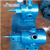 *2CY齿轮泵 耐腐蚀齿轮油泵支持定制
