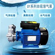 小型污水處理設備自吸溶氣泵不銹鋼臭氧水泵