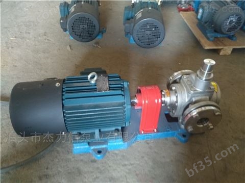 2CY7.5-2.5不锈钢化工齿轮泵