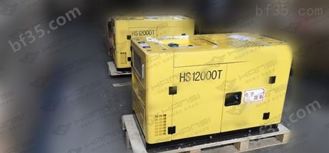 翰丝HS12000T*箱式10KW柴油发电机