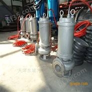 天津市政工程污水泵