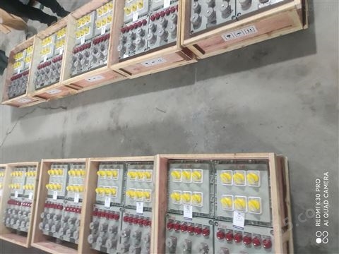 4回路塑壳100A防爆配电箱