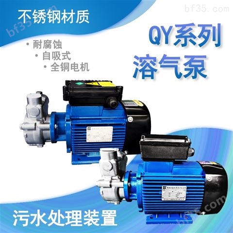臭氧设备自吸气液混合泵订制电压380V/60HZ