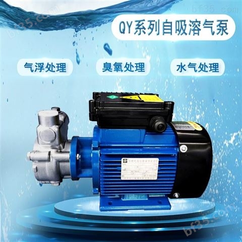 小型污水处理设备自吸溶气泵不锈钢臭氧水泵