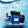 小型污水处理设备自吸溶气泵不锈钢臭氧水泵
