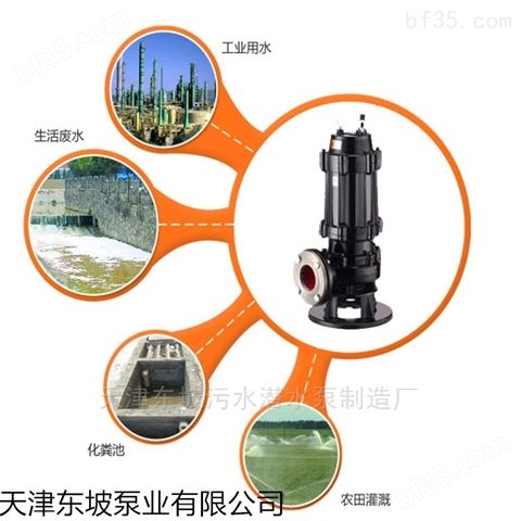 耦合器污水泵  天津污水潜水泵