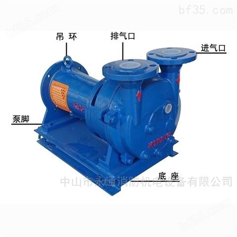 工业用抽气泵DN50真空泵
